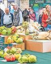 Giant veg's a huge crowd-puller30