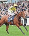 We'll let the dust settle, says Fahey36