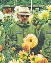 Super Furry Animals to headline Sounds show9
