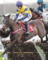 Lee eyes Christmas Hurdle for Nemean Lion52