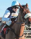 Sir Gino heads market for Champion Hurdle40