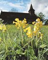 Churches urged to ban use of floral foam8