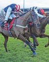 Pauling positive ahead of Festival37