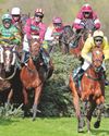 Western Daily Press