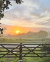Bid to protect meadow near King's home21