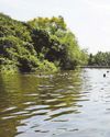 New bathing spots open in West as season begins8