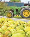 Major blow to fruit harvesting machinery firm Major blow to fruit harvesting machinery firm24