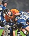 Bears drop showpiece fixture Bears drop showpiece fixture42