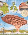 Sycamore Gap design chosen Sycamore Gap design chosen15