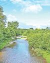 River will take decades to recover from ‘vandalism’ River will take decades to recover from ‘vandalism’9