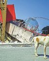 Buildings collapse as Philippines earthquake kills at least 3522