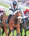 Hickory Lad will swerve Royal Ascot Hickory Lad will swerve Royal Ascot31