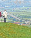 Plans for 2,000 homes could change landmark view forever Plans for 2,000 homes could change landmark view forever8