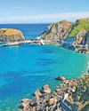 Island marks 20 years ‘rat-free’ as seabird numbers hit 40,0003