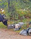 Disgust as more rubbish dumped on Dartmoor