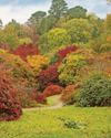 Autumn colours already on display