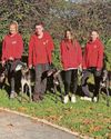 Six greyhounds looking for their forever homes