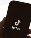 Tik Tok cat videos 'not threat to our security'