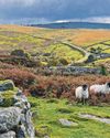 Funding boost for Dartmoor