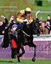 Galopin to Gold glory for historic hat-trick30