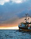 UK fisheries decline 'must be reversed' UK fisheries decline 'must be reversed'