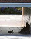Temporary housing now costing £4.6m per year Temporary housing now costing £4.6m per year