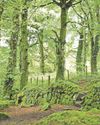 Man found dead in woods miles from his home Man found dead in woods miles from his home
