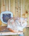 Pair kept animals in squalid conditions Pair kept animals in squalid conditions