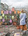 'Action plan' to rebuild trust after tree felling