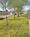 Armada Way work is hailed by council4