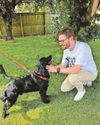 Animal shelter resolves its problem over access8