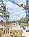 Armada Way's Phoenix Fountain set to rise again The Herald