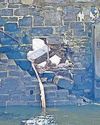 HISTORIC ENGLAND CONFIRMS PERMISSION NOT REQUIRED3