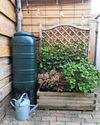 HOW WILL YOUR GARDEN GROW?23