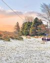 Snow on Dartmoor as weather turns cold0