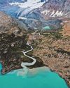 The Herald