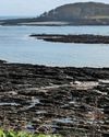 Marine conservation project safeguards Cornwall's seals Marine conservation project safeguards Cornwall's seals