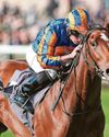Lake Victoria could be fit for Guineas - Aidan Lake Victoria could be fit for Guineas - Aidan