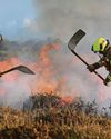 Weeks of wildfires have 'decimated' ecosystems Weeks of wildfires have 'decimated' ecosystems