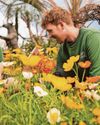 Spring weather boost for Eden floral displays Spring weather boost for Eden floral displays