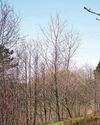 Residents want answers on plan for battery farm Residents want answers on plan for battery farm
