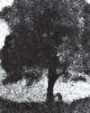 'Video of Sycamore gap tree being cut down' played in court 'Video of Sycamore gap tree being cut down' played in court