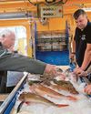 Hopes for fishing revival after visit Hopes for fishing revival after visit