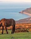 Moor staff face pressure after park funds change Moor staff face pressure after park funds change