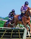 More success for Nicholls and Tizzard More success for Nicholls and Tizzard