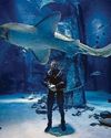 Snakes, sharks, sneaky hippos... wildlife is my safe space25