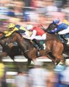 Bethall’s charge has eye on win at Ripon’s round course28