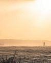Coastal outflows risk of airborne microplastics10