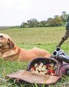 Lead ammunition ban provokes mixed reaction4