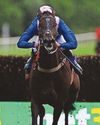 Centara well fancied at Newton Abbot31